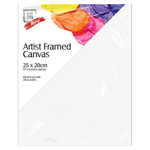 لوحة كانفس 25*20 سم